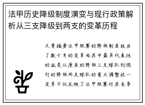 法甲历史降级制度演变与现行政策解析从三支降级到两支的变革历程