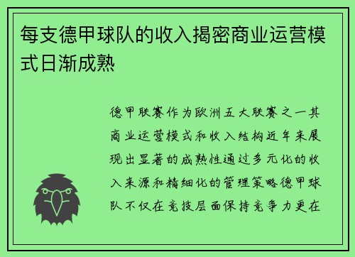 每支德甲球队的收入揭密商业运营模式日渐成熟